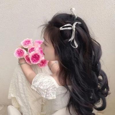 好莱坞芭比电影版